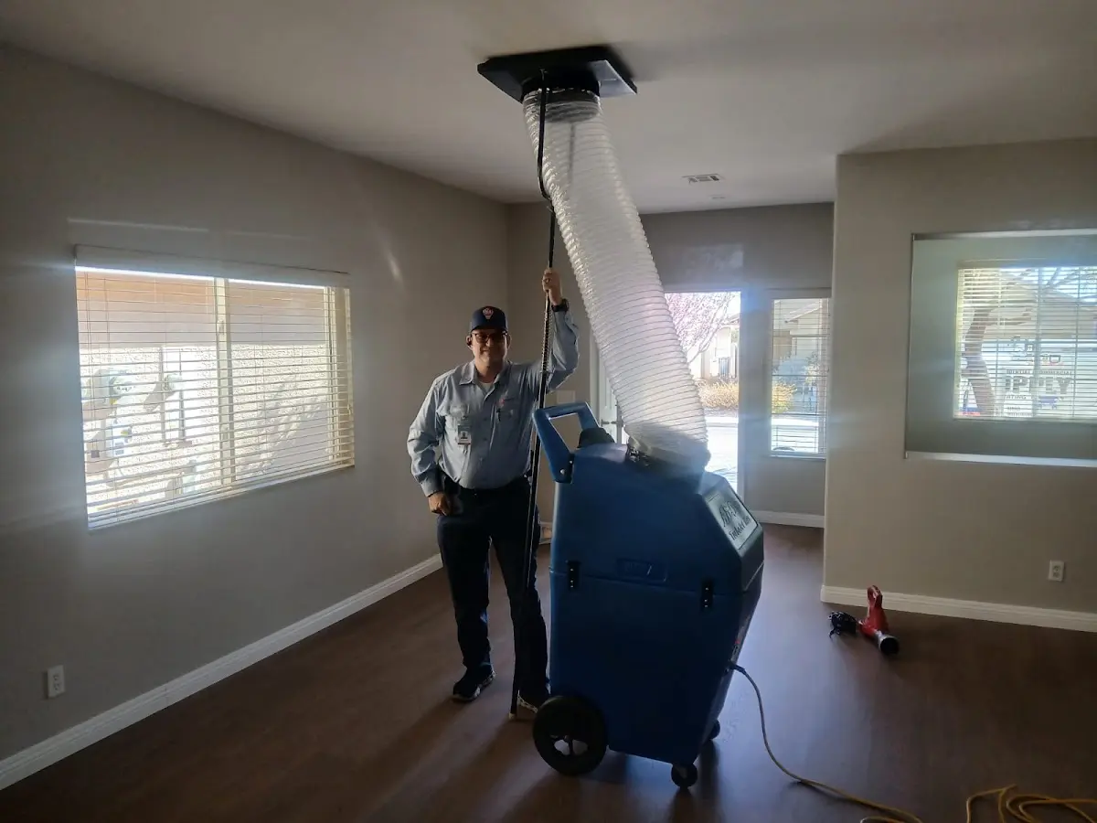 Professional Dryer Vent Cleaning work inside a Erlanger home